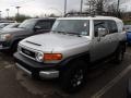 Titanium Metallic - FJ Cruiser 4WD Photo No. 3