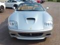 Grigio Touring (Silver) - 575 Superamerica Roadster F1 Photo No. 13