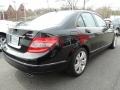 2010 Black Mercedes-Benz C 300 Luxury 4Matic  photo #7