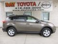 Pyrite Mica - RAV4 XLE AWD Photo No. 1