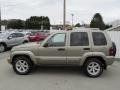 Light Khaki Metallic - Liberty Limited 4x4 Photo No. 2
