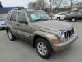 Light Khaki Metallic - Liberty Limited 4x4 Photo No. 6