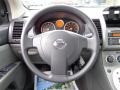 Magnetic Gray - Sentra 2.0 Photo No. 12