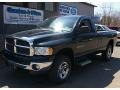 Black 2002 Dodge Ram 1500 SLT Regular Cab 4x4