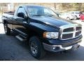 Black - Ram 1500 SLT Regular Cab 4x4 Photo No. 9