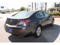 Graphite Luster Metallic - TL  Photo No. 7