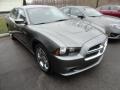 Tungsten Metallic - Charger SE Photo No. 3