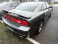 Tungsten Metallic - Charger SE Photo No. 4