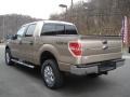 2013 Pale Adobe Metallic Ford F150 XLT SuperCrew 4x4  photo #6