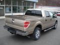 2013 Pale Adobe Metallic Ford F150 XLT SuperCrew 4x4  photo #8