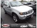 Titanium Silver Metallic 2004 BMW X5 4.4i