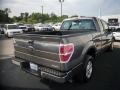 Sterling Grey Metallic - F150 XL SuperCab Photo No. 6