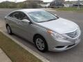 Radiant Silver - Sonata GLS Photo No. 7