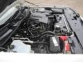 4.6 Liter SOHC 16-Valve V8 2007 Lincoln Town Car Signature Limited Engine