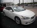 Winter Frost White - Maxima 3.5 SV Premium Photo No. 3