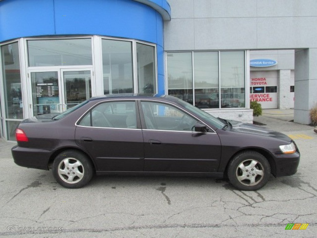 1999 Accord EX Sedan - Black Currant Pearl / Gray photo #2