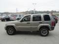 Light Khaki Metallic - Liberty Sport 4x4 Columbia Edition Photo No. 7