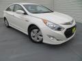 Porcelain White Pearl - Sonata Hybrid Photo No. 1