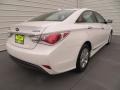 Porcelain White Pearl - Sonata Hybrid Photo No. 4