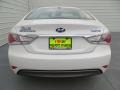 Porcelain White Pearl - Sonata Hybrid Photo No. 5