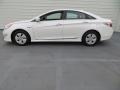Porcelain White Pearl - Sonata Hybrid Photo No. 6