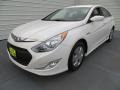 Porcelain White Pearl - Sonata Hybrid Photo No. 7