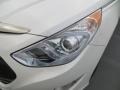 Porcelain White Pearl - Sonata Hybrid Photo No. 9