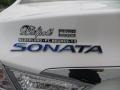 Porcelain White Pearl - Sonata Hybrid Photo No. 19