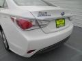 Porcelain White Pearl - Sonata Hybrid Photo No. 20