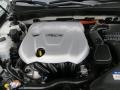 Porcelain White Pearl - Sonata Hybrid Photo No. 21