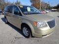 White Gold 2010 Chrysler Town & Country Gallery