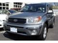 Everglade Green Metallic - RAV4 4WD Photo No. 1