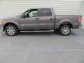 Sterling Gray Metallic 2013 Ford F150 XLT SuperCrew Exterior