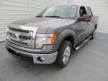 Sterling Gray Metallic 2013 Ford F150 XLT SuperCrew Exterior