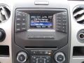Steel Gray Controls Photo for 2013 Ford F150 #79901332