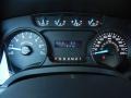 Steel Gray Gauges Photo for 2013 Ford F150 #79901662