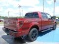 2013 Ruby Red Metallic Ford F150 FX2 SuperCrew  photo #3