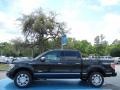 2013 Tuxedo Black Metallic Ford F150 Platinum SuperCrew 4x4  photo #2