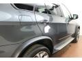 Platinum Gray Metallic - X5 xDrive50i Photo No. 8