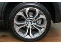 Platinum Gray Metallic - X5 xDrive50i Photo No. 36