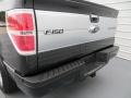 2013 Tuxedo Black Metallic Ford F150 Platinum SuperCrew  photo #15