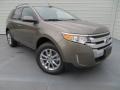Mineral Gray Metallic 2013 Ford Edge SEL Exterior
