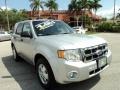 Ingot Silver Metallic - Escape XLT Photo No. 1