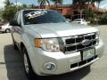 Ingot Silver Metallic - Escape XLT Photo No. 2
