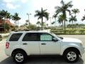 Ingot Silver Metallic - Escape XLT Photo No. 5