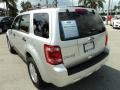 Ingot Silver Metallic - Escape XLT Photo No. 9