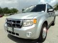 Ingot Silver Metallic - Escape XLT Photo No. 14