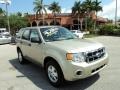 2012 Gold Leaf Metallic Ford Escape XLS  photo #1