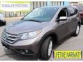 Urban Titanium Metallic - CR-V EX 4WD Photo No. 1