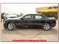 Pitch Black - Charger SE Photo No. 2